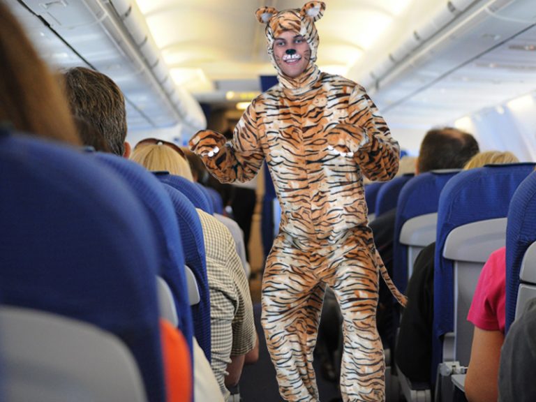 Airlines Cracking Down On Emotional Support Manimals