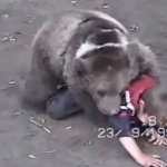 khabib-nurmagomedov-bear